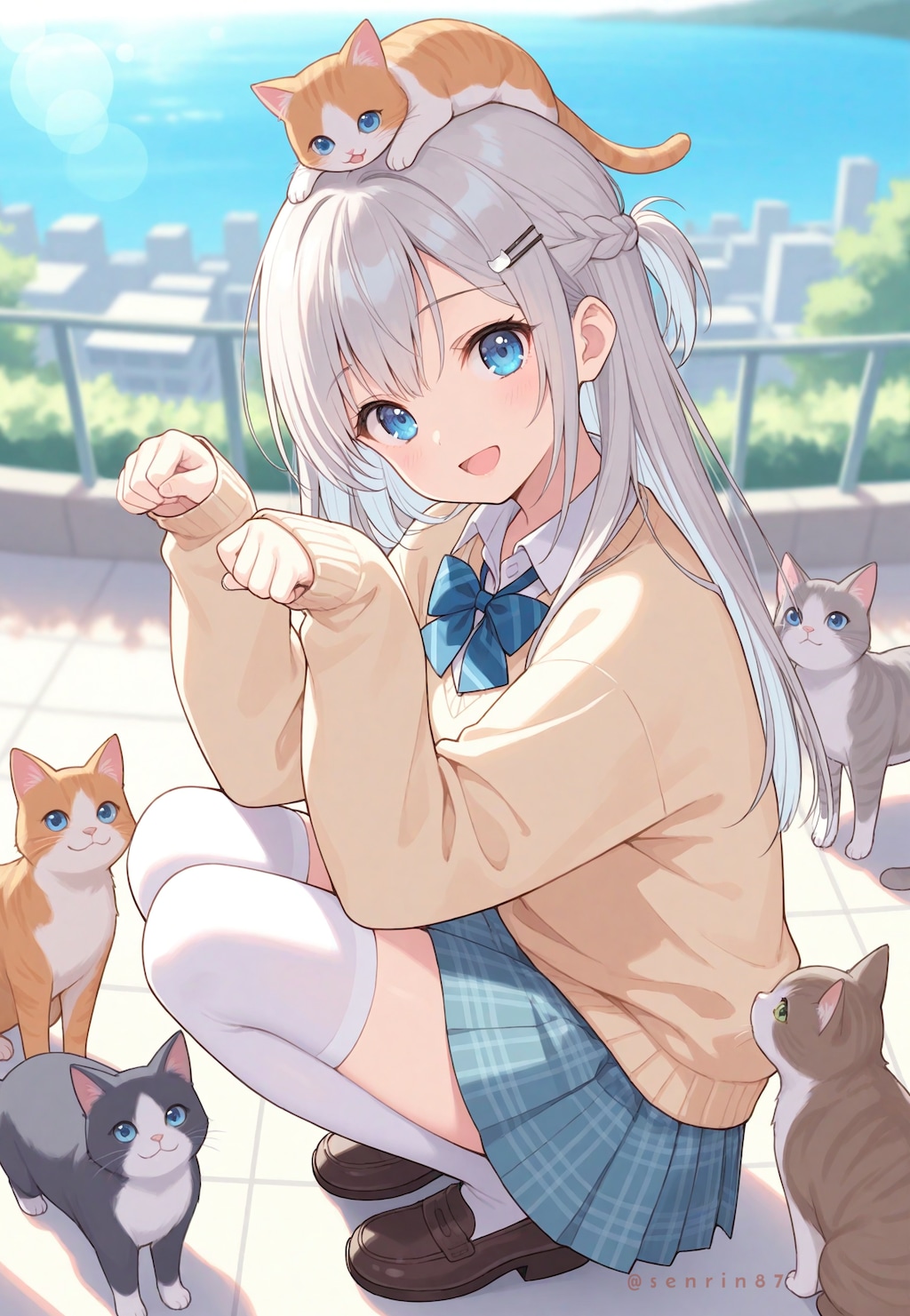 🐈🐈‍⬛🐈