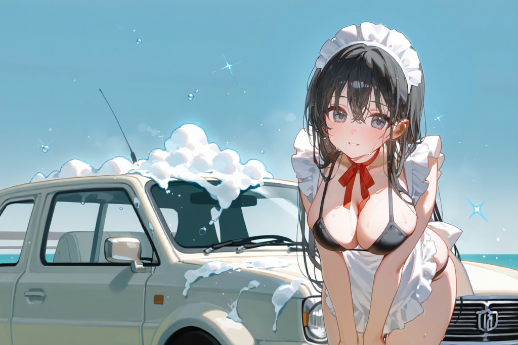 メイド洗車