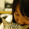 猫にキスする子 10枚目