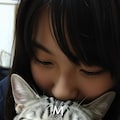 猫にキスする子 3枚目