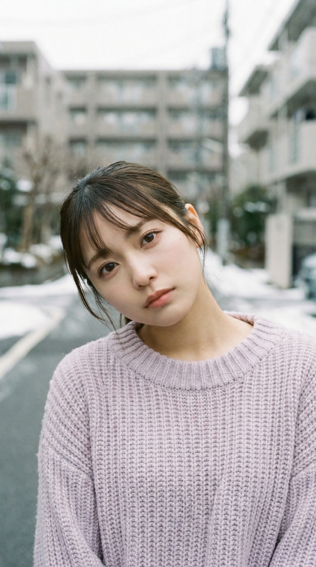 Lavender Morning Glow