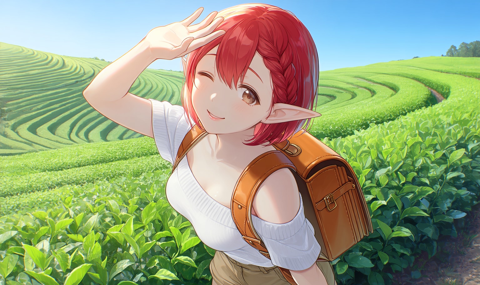 緑の絨毯、茶畑