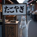 ただのねことたこやき屋 2枚目