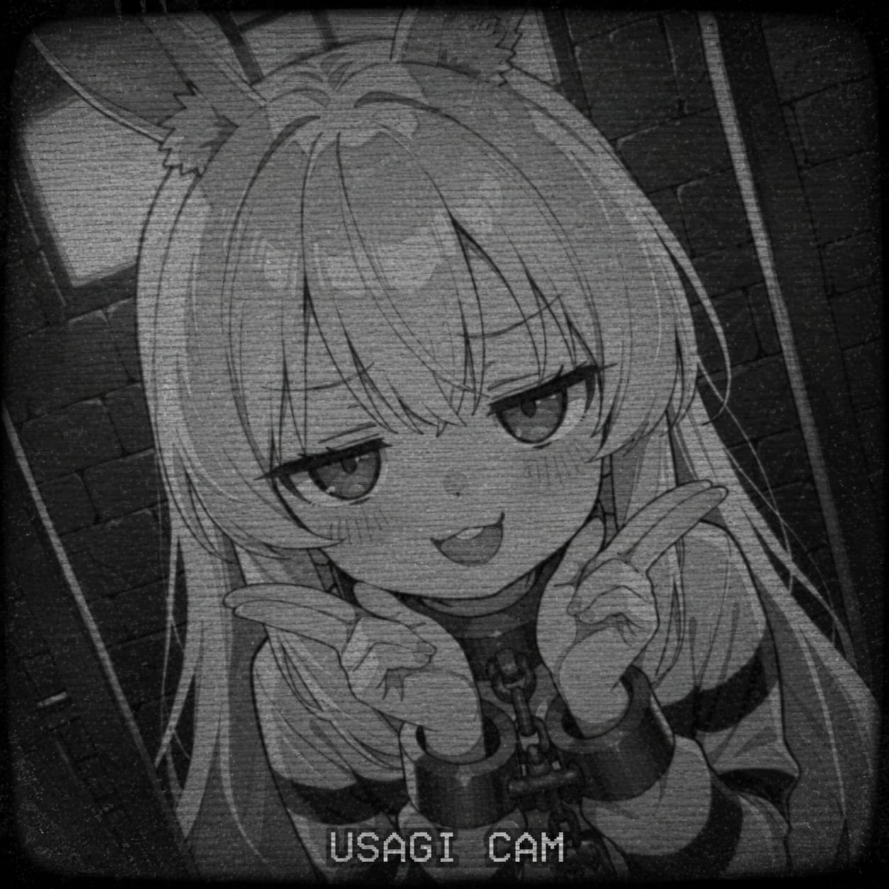 今日は防犯カメラの日