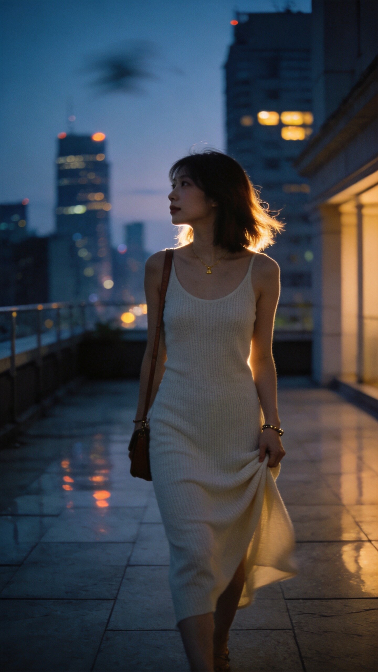 Twilight Rest Above the City