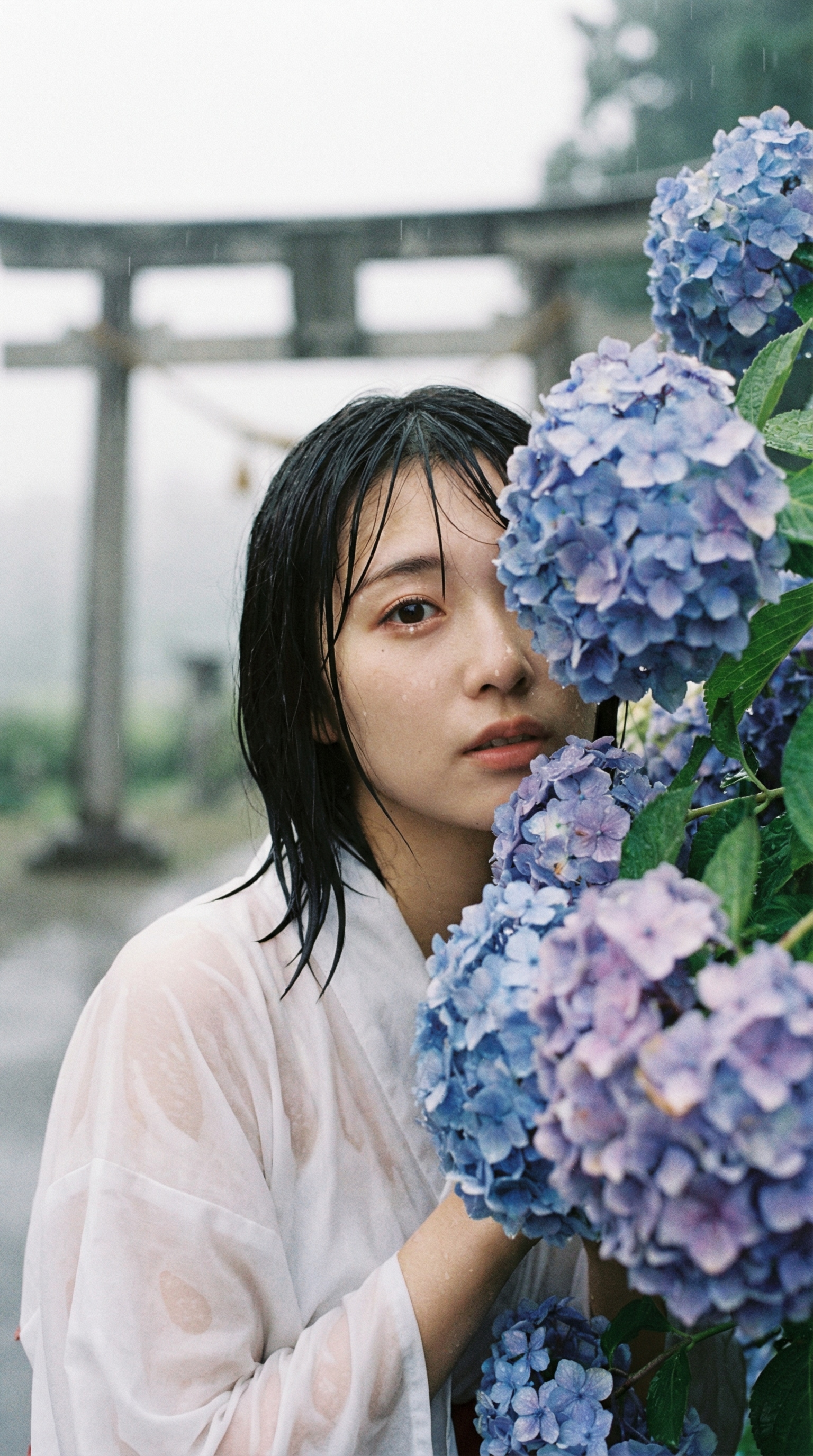 Rain-Soaked Silence in Blue Bloom