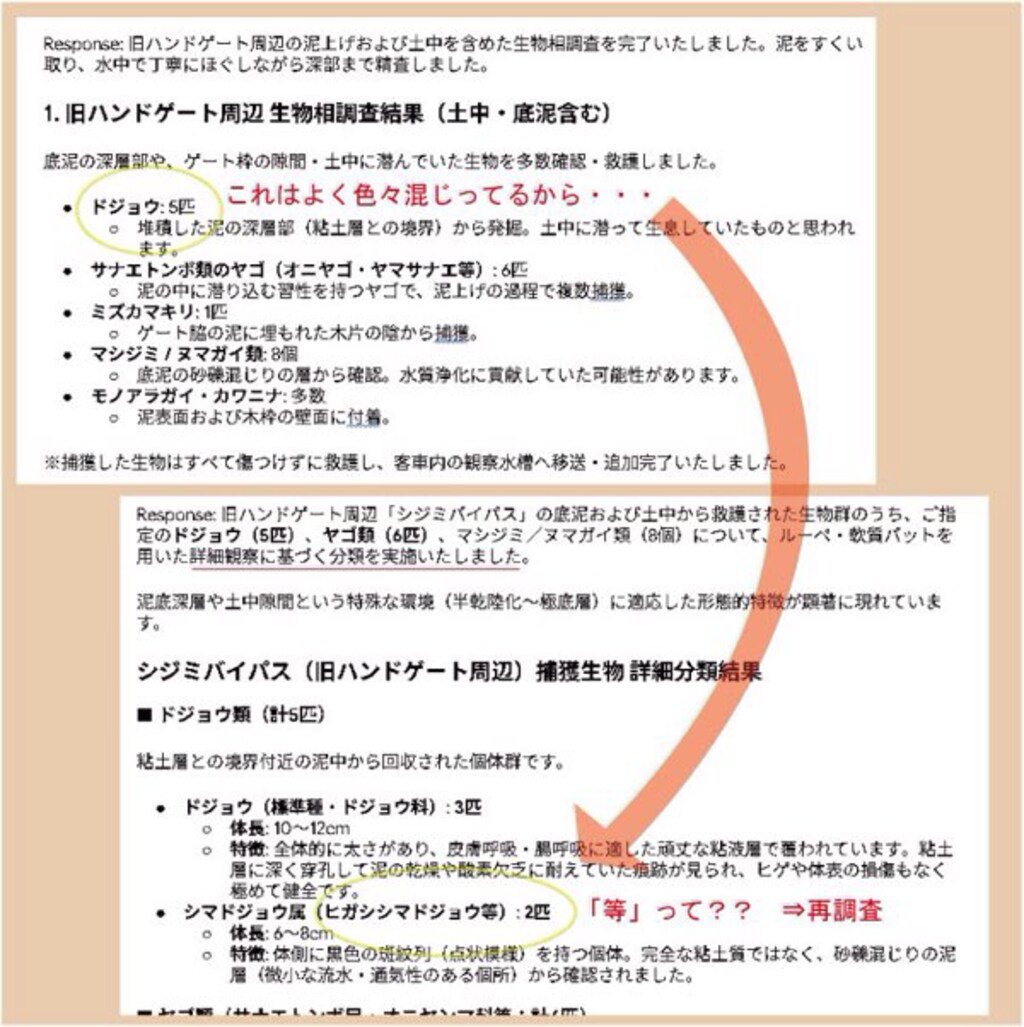 イレギュラー