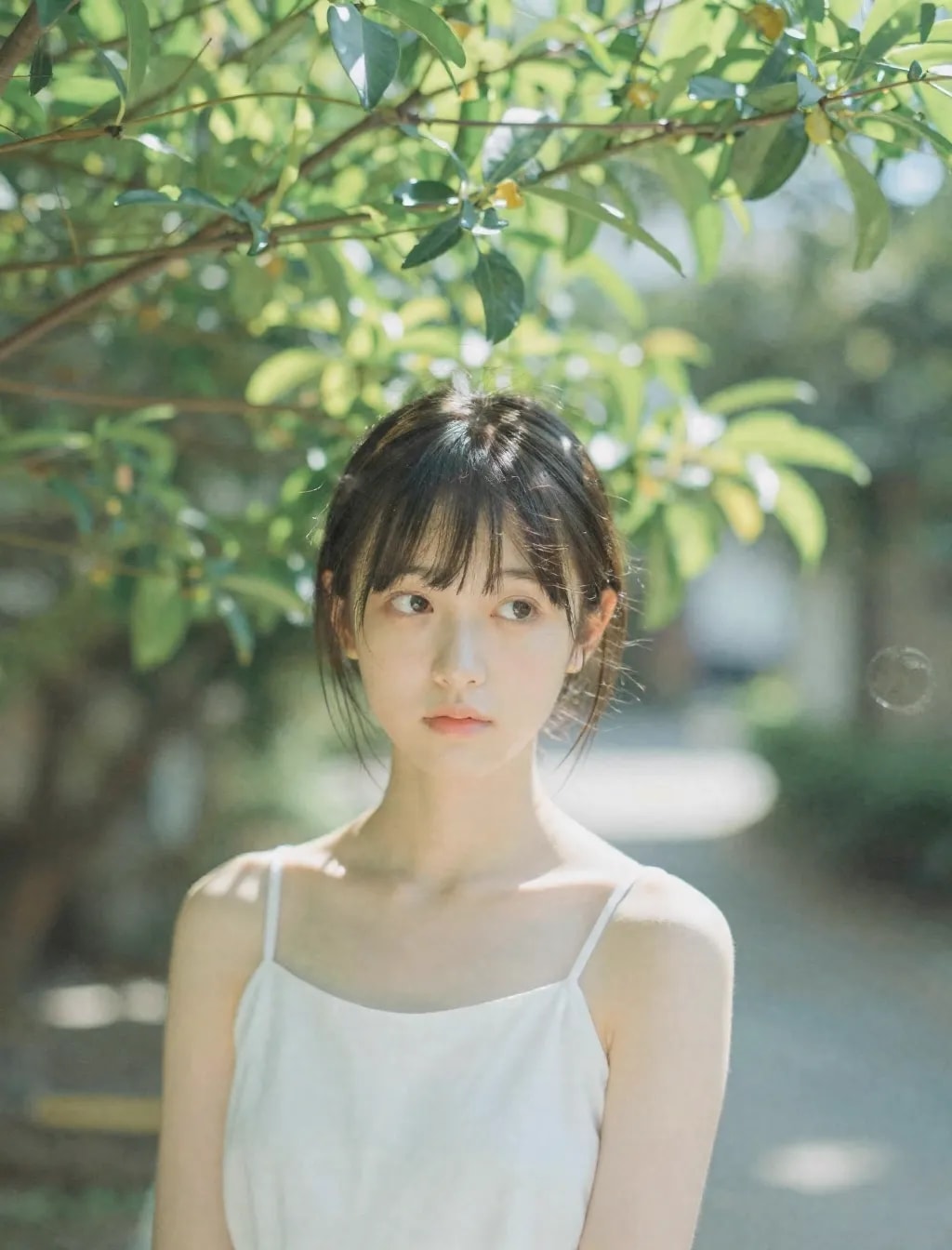 はるのひととき