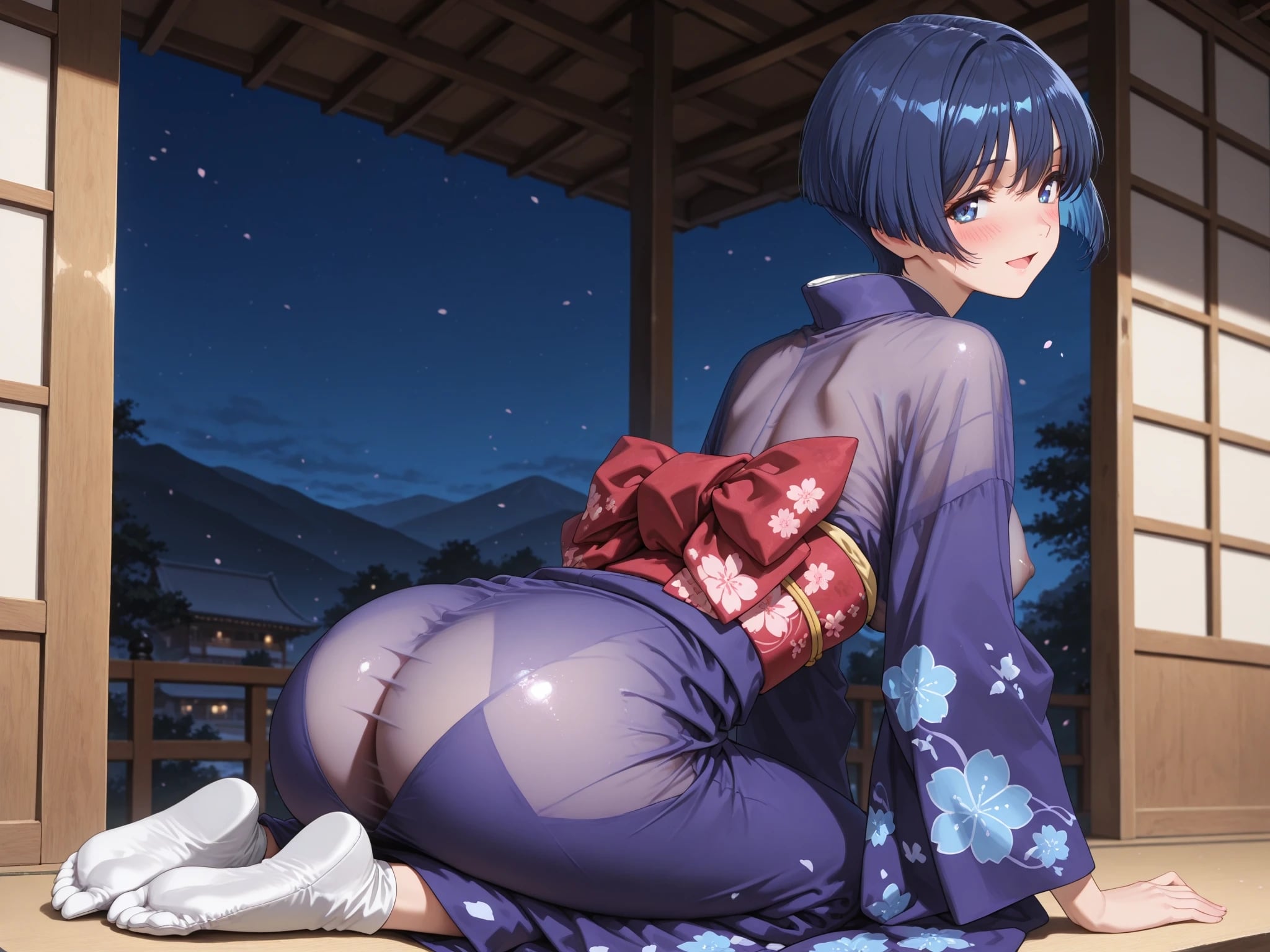 おもてなし亭 Vol.1 葵小町（イラスト集）