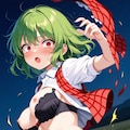 風見幽香 服ビリ 5枚目