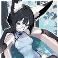 ケモバス 2枚目
