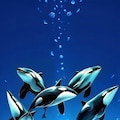 星に願う（艦これ時雨） 4枚目