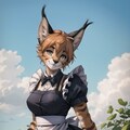 maid caracal 3枚目