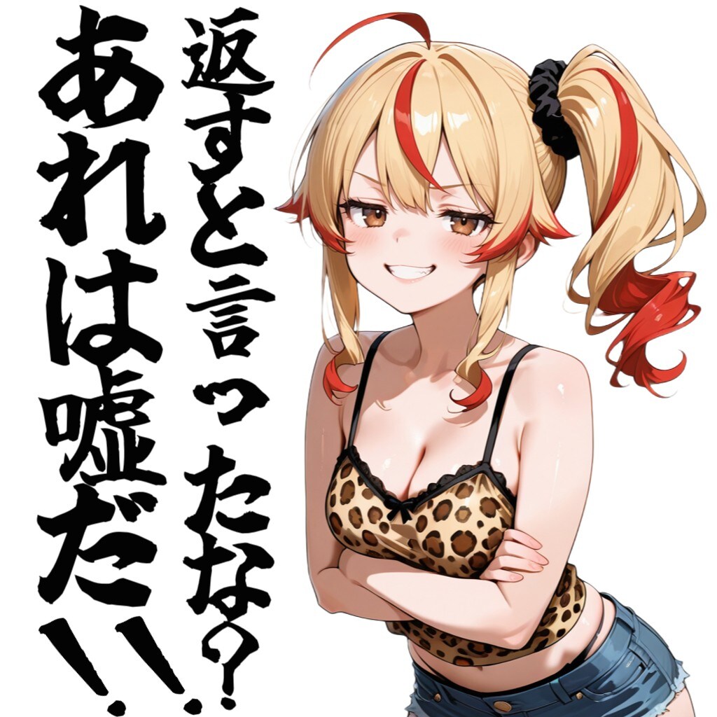 あれは嘘だっ！！