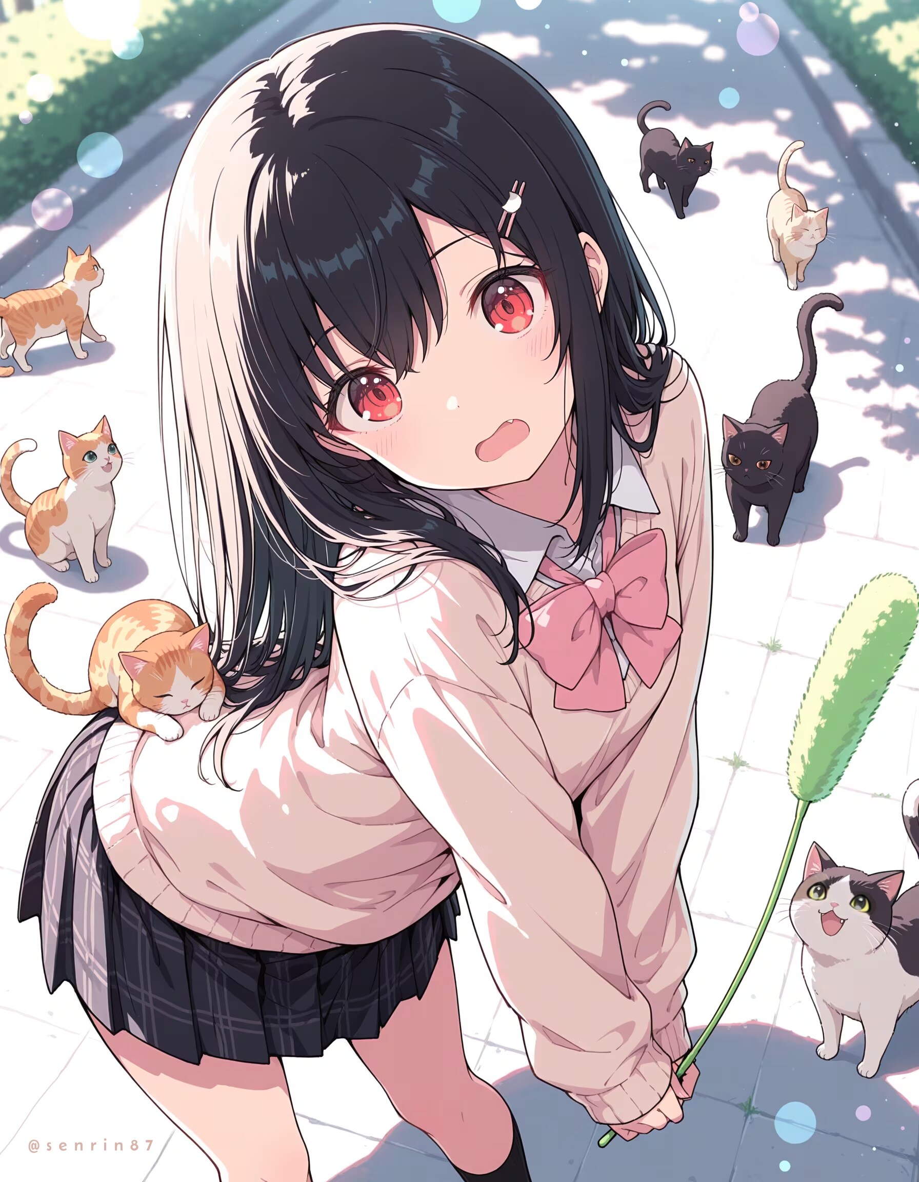 猫に囲まれて