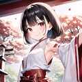 メスガキ腋巫女 11枚目