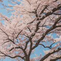 お花見 6枚目
