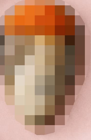 きょうのいっぴん　生牡蠣ともみじおろし　モザイクを添えて | の人気AIイラスト・グラビア