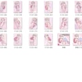 【PromptComイラスト集紹介】『世界美少女写真集Little Fairies Selection① Selena』 4枚目