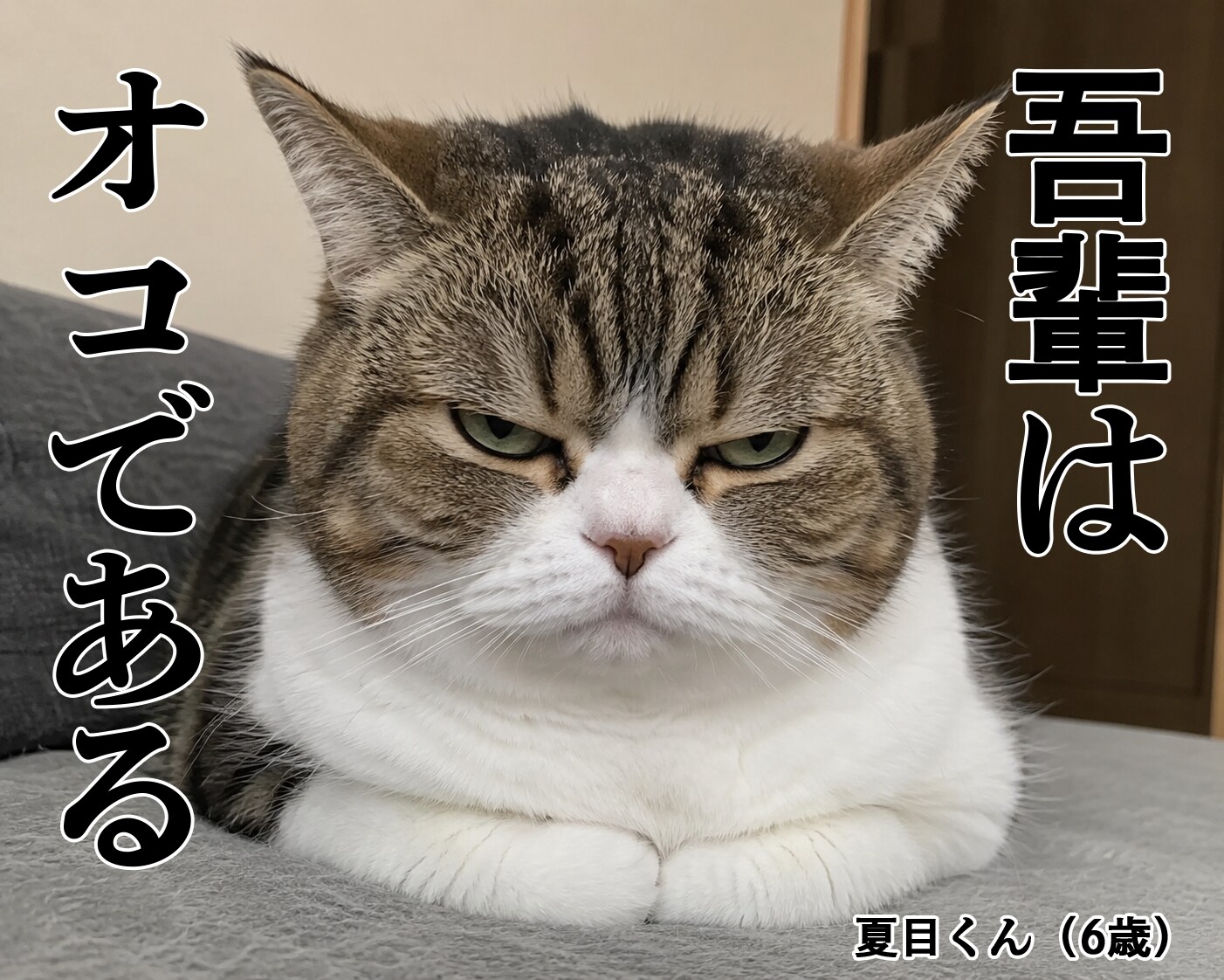 吾輩は猫である