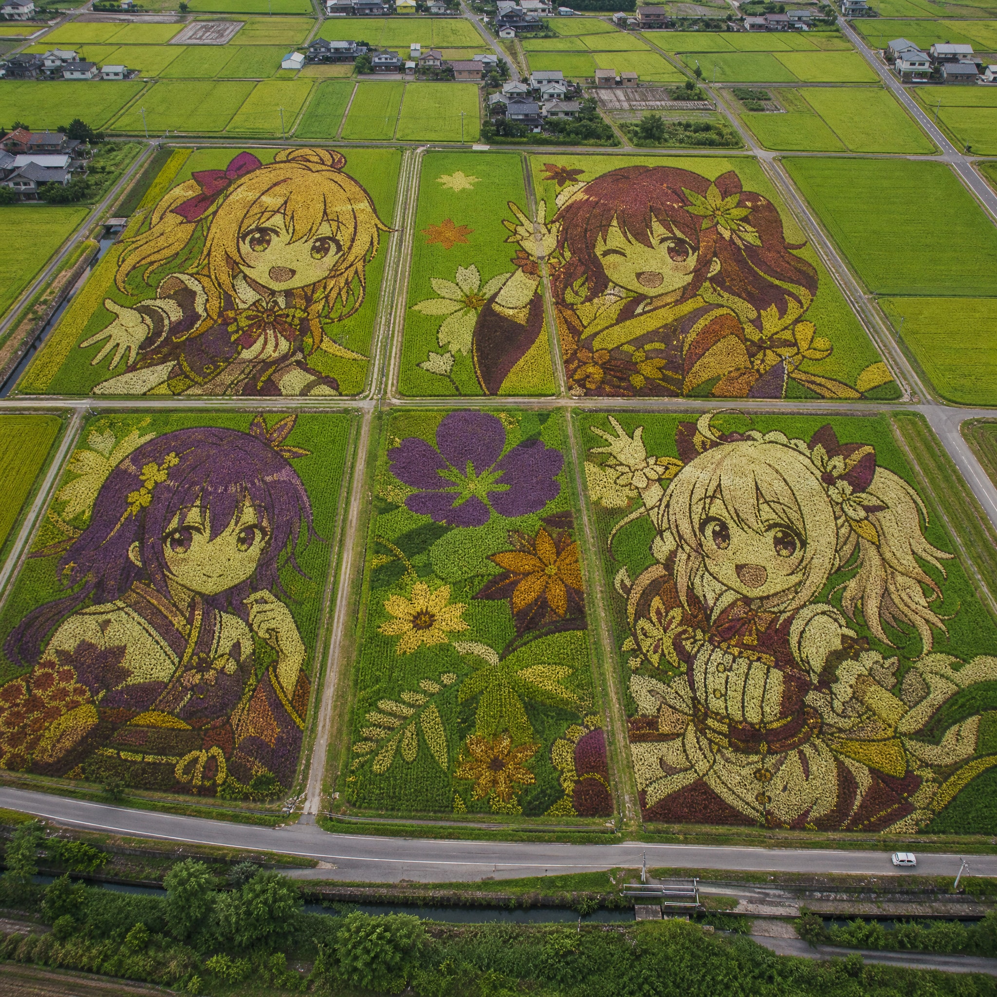 収量より芸術