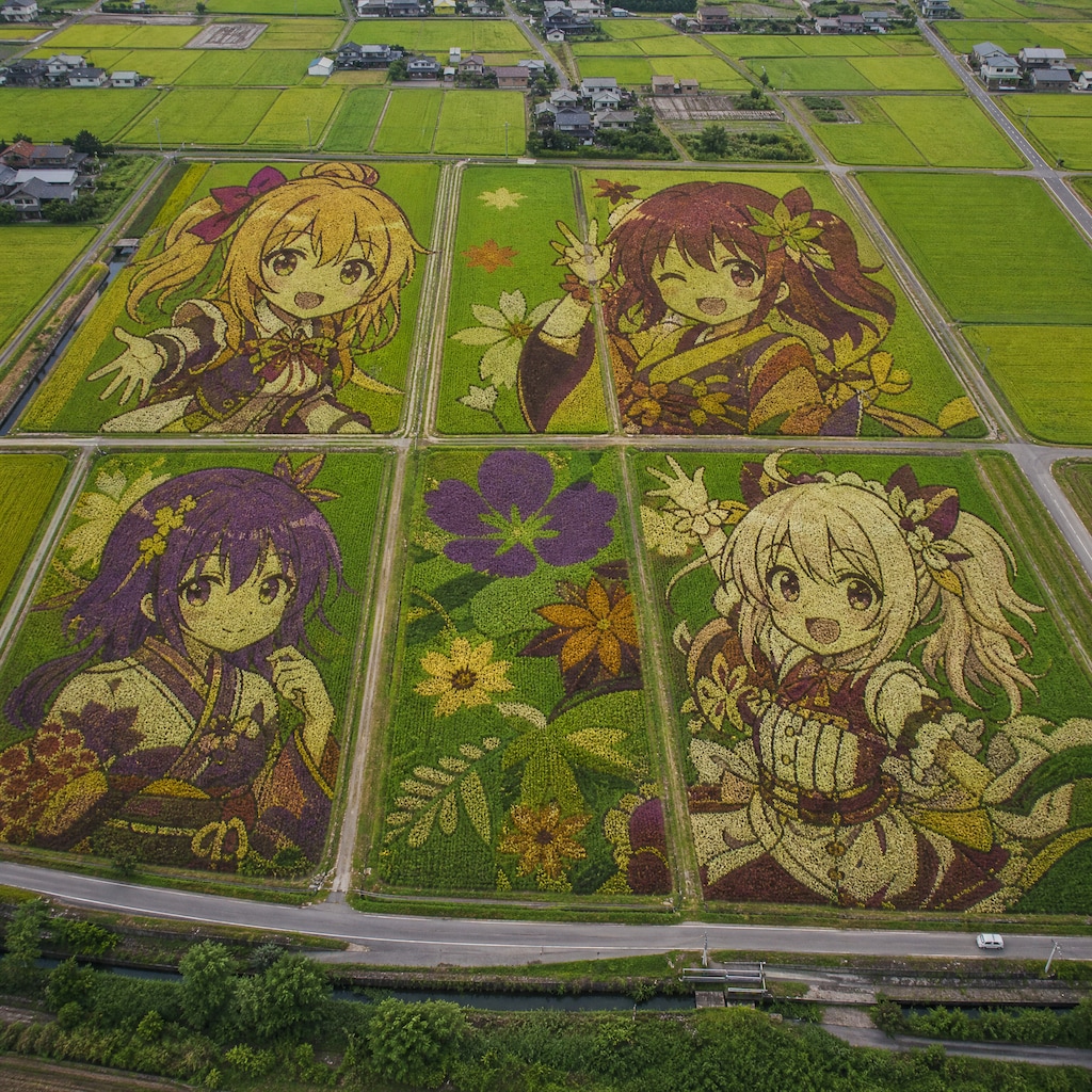 収量より芸術