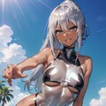 褐色銀髪ちゃんの水着詰合せ 2枚目