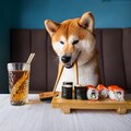 柴犬とお寿司(Adobe) 4枚目