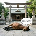 はたらきたくない馬 2枚目