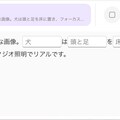 [空欄お題]：（__）は（__）を（__）に置き、フォーカスの外れた背景を持つ明るい（__）で（__）めます。 4枚目