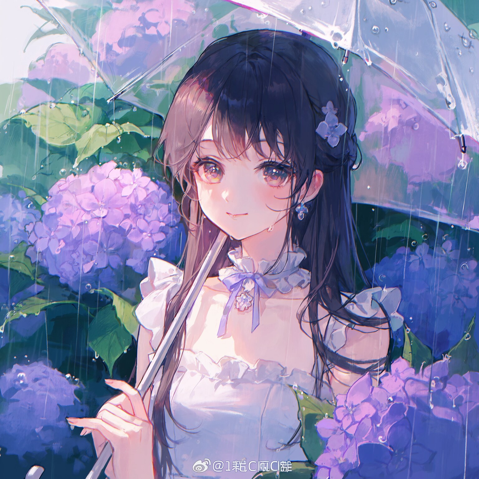 紫陽花と少女