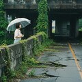 雨の廃墟 9枚目