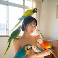 インコ×オウム 2枚目