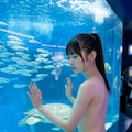 水族館 別AI 7枚目