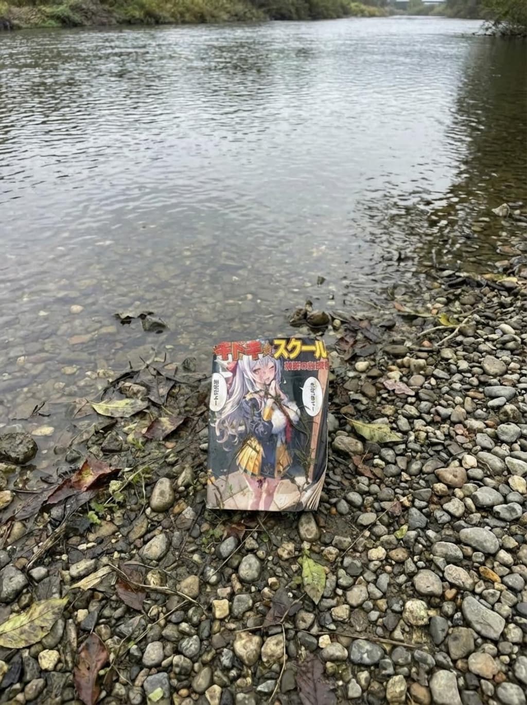 [がぞうどうぞ]昔見た景色