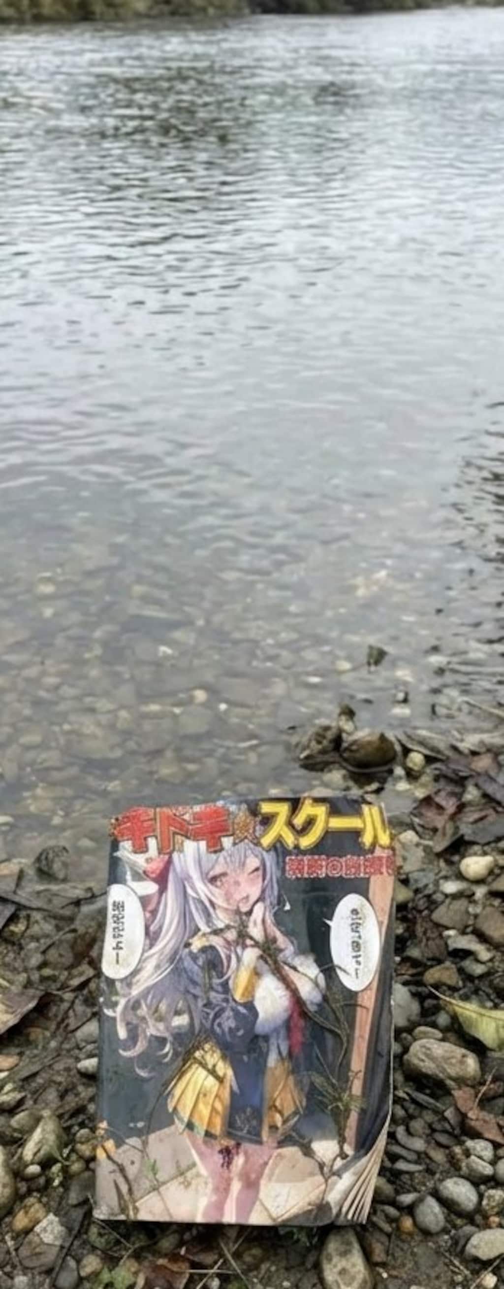 [がぞうどうぞ]昔見た景色
