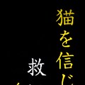 猫宗教研究会部長 3枚目