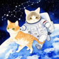 猫と星座 3枚目