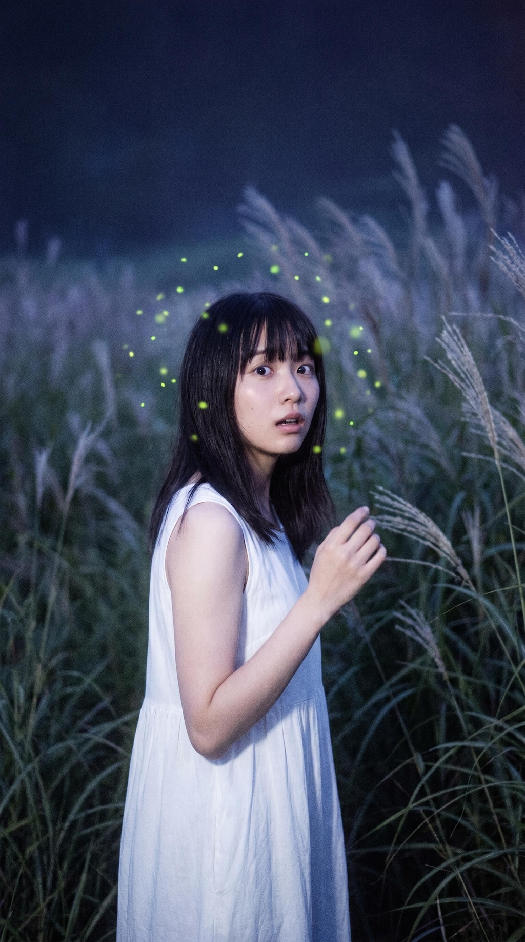 Where Fireflies Meet the Moon