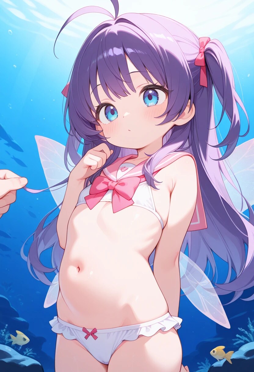 妖精の羽🧚