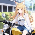 小説『バイクでGoコッコ！』【ニャンノ世界】 4枚目