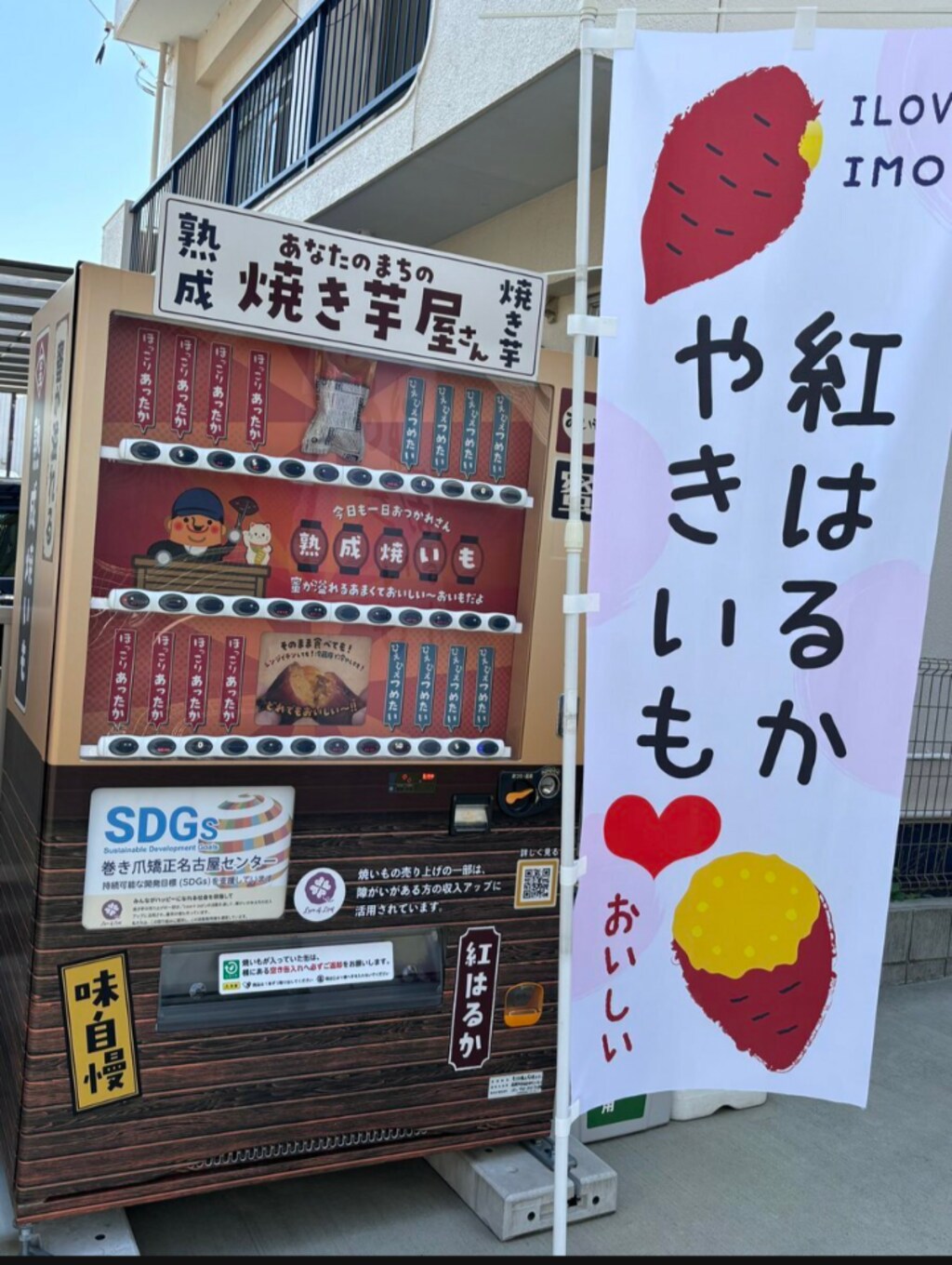 (そうきゅう･あおい)蒼穹葵の、　　　　　　　　　　　　　中村公園付近をPR散策