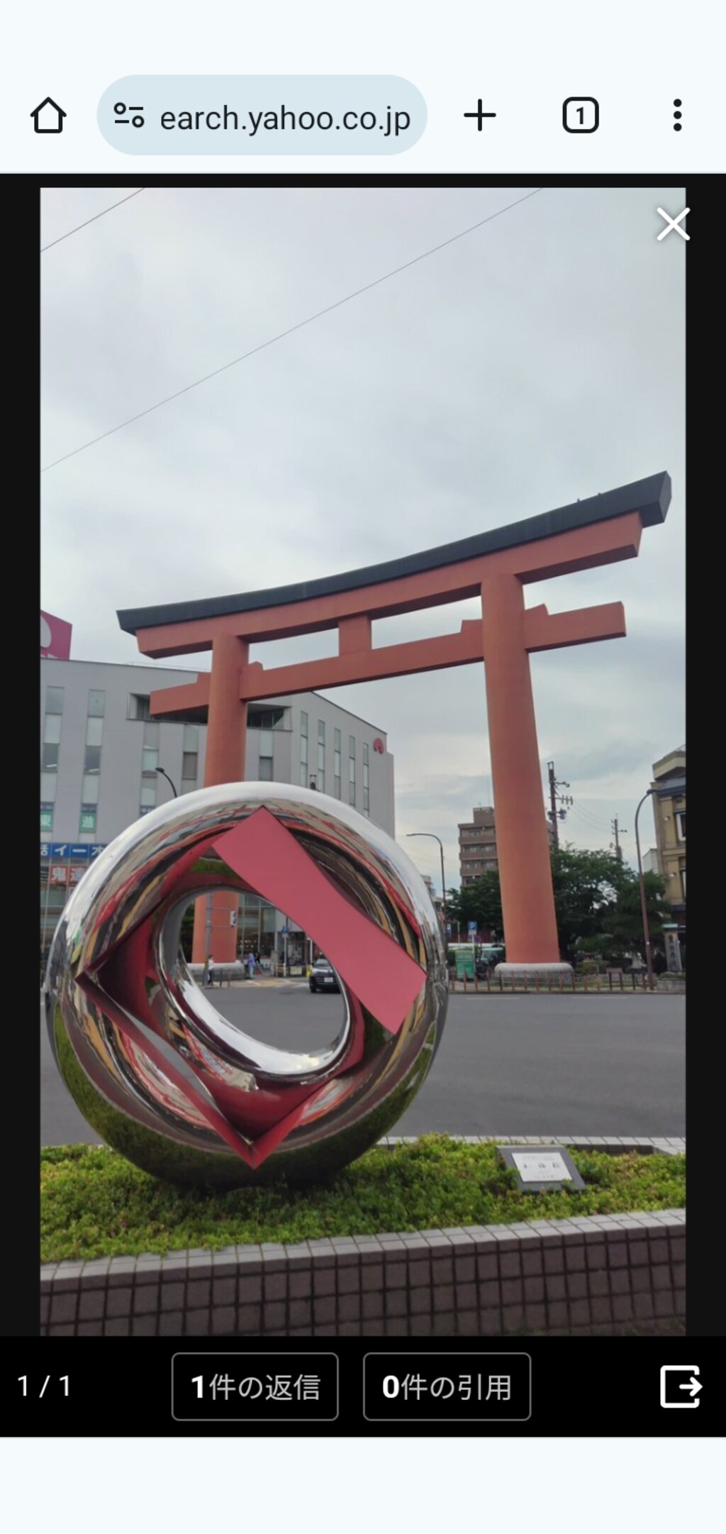 (そうきゅう･あおい)蒼穹葵の、　　　　　　　　　　　　　中村公園付近をPR散策