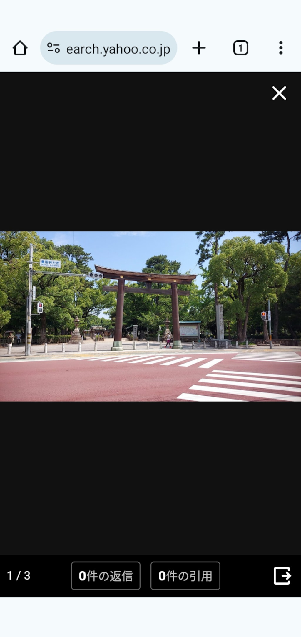 (そうきゅう･あおい)蒼穹葵の、　　　　　　　　　　　　　中村公園付近をPR散策
