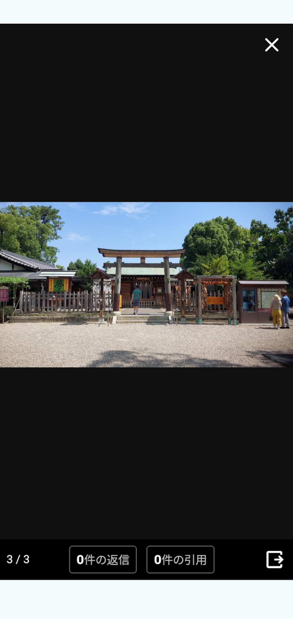 (そうきゅう･あおい)蒼穹葵の、　　　　　　　　　　　　　中村公園付近をPR散策