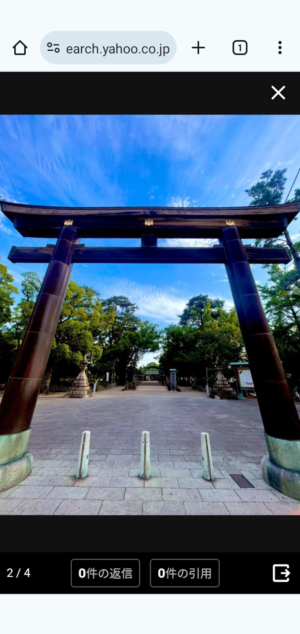 (そうきゅう･あおい)蒼穹葵の、　　　　　　　　　　　　　中村公園付近をPR散策