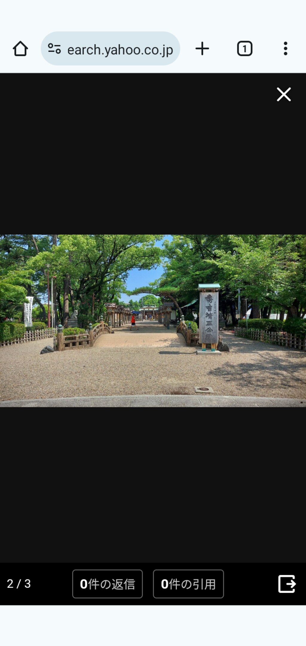 (そうきゅう･あおい)蒼穹葵の、　　　　　　　　　　　　　中村公園付近をPR散策