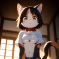 三毛猫さん 2枚目