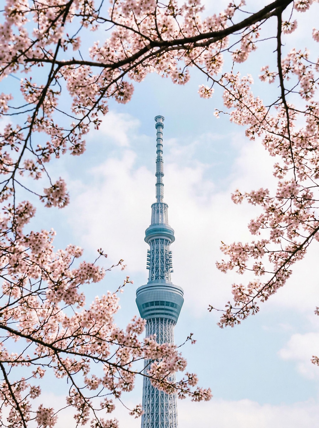 今日の１枚(2026/4/3)