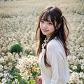 菜の花畑 2枚目